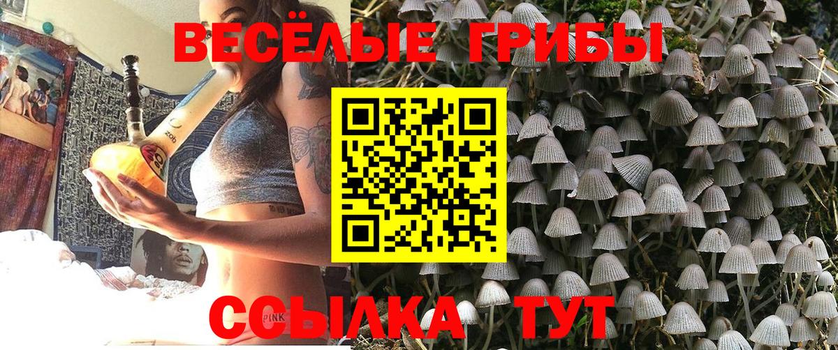 Псилоцибиновые грибы GOLDEN TEACHER Наро-Фоминск