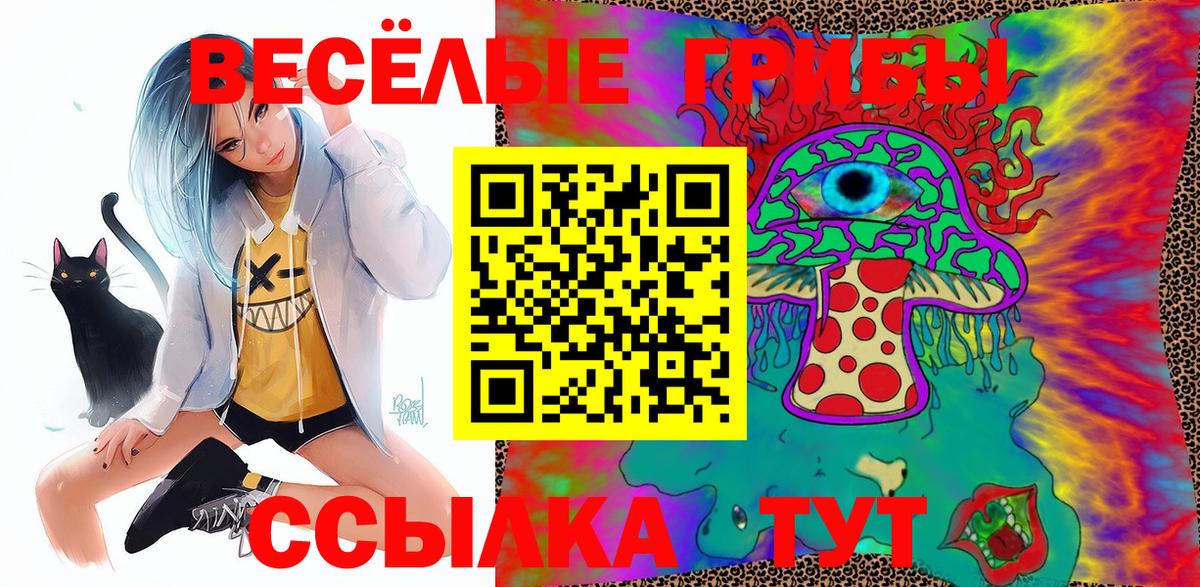 Наро-Фоминск  Галлюциногенные грибы Psilocybine cubensis  где найти   Вход с VPN 